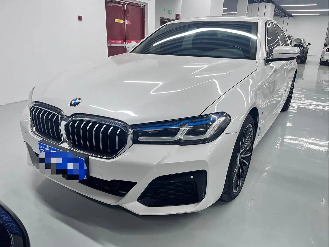 BMW 530 Li 2019